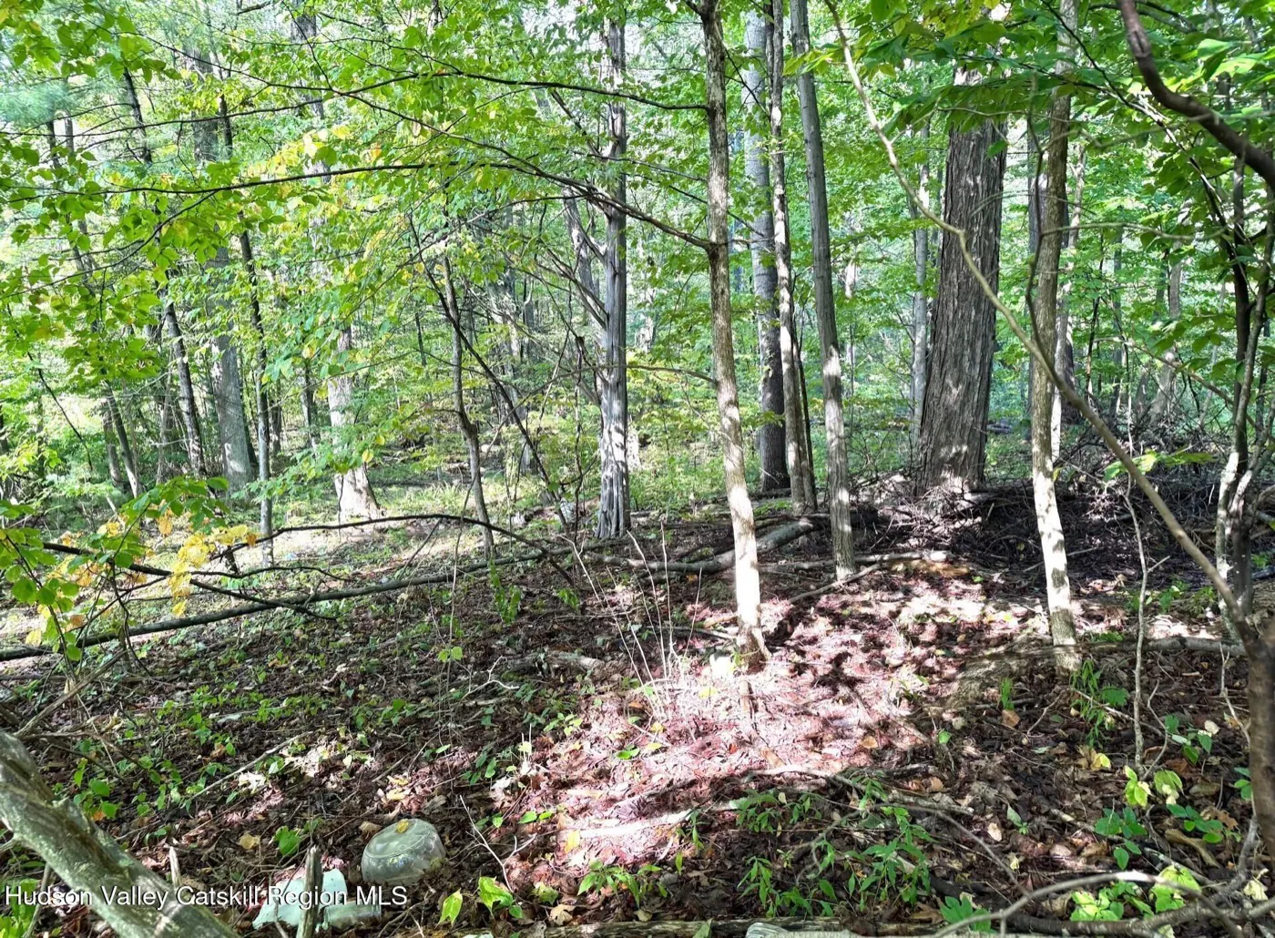 Current WMR listing photograph 1 of 1 for 0 Deerfield Road, Boiceville, New York.